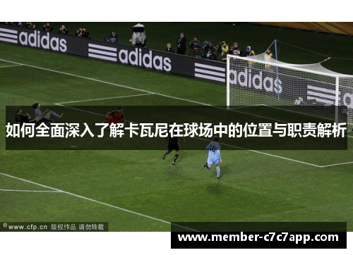 如何全面深入了解卡瓦尼在球场中的位置与职责解析 如何全面深入了解卡瓦尼在球场中的位置与职责解析
