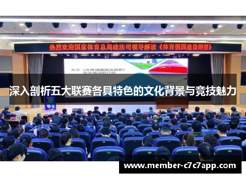 深入剖析五大联赛各具特色的文化背景与竞技魅力