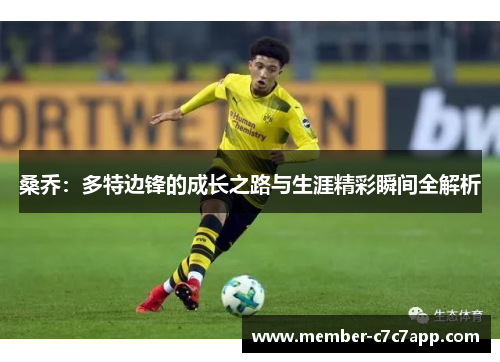 桑乔:多特边锋的成长之路与生涯精彩瞬间全解析 桑乔:多特边锋的成长之路与生涯精彩瞬间全解析